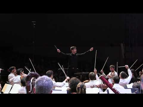 J. Brahms - Symphony No. 4 in E minor, Op. 98 (IV. Allegro energico e passionato)