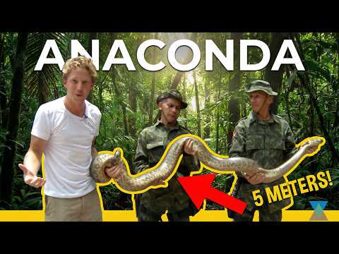 Anaconda in Amazon City! ft. Wildlife Police