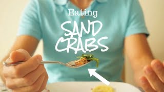 Can You Eat Them  - California Sand Crabs / Sand Fleas