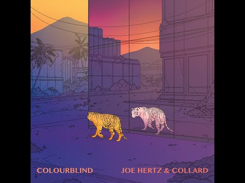 Joe Hertz & Collard - Colourblind (Official Audio)