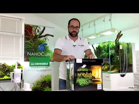 Watch Video on YouTube