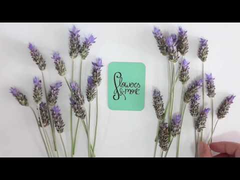 Lembrancinha: Sabonete decorado com lavanda