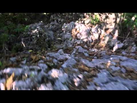 Niue Trek vers Tavala arche, Vue subjective / Nieu Trek to Tavala arch, Subjective view