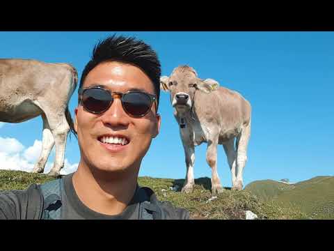 Hiking in Moleson 2019