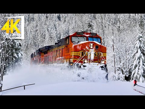 Winter Washington Snow Trains