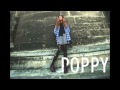poppy - lady bear 