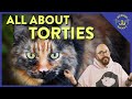 What Is Tortitude Cat Daddy Dictionary