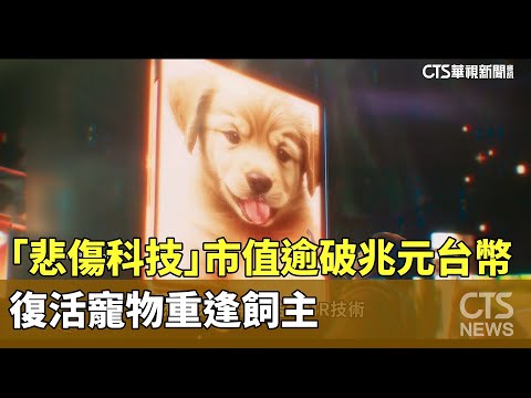 「悲傷科技」市值逾破兆元台幣！　復活寵物重逢飼主