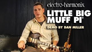 Electro-Harmonix Little Big Muff Pi Distortion / Sustainer (Demo by Dan Miller)