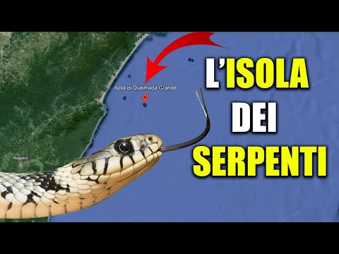 L' ISOLA DEI SERPENTI: IL POSTO PIÙ PERICOLOSO DEL MONDO