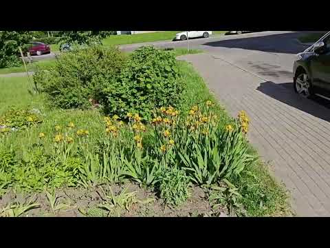 Купить 2-комнатную квартиру, г. Молодечно, ул. Тамары Дудко, 31