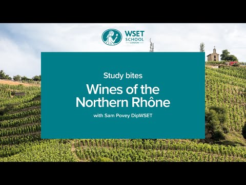 Study bites: wines of the Northern Rhône (WSET Level 3 wine)