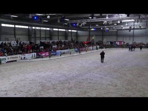 Jezdecký festival 2018 - Soutěž č. 20: drezurní soutěž vIM1/2016