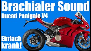 Ducati Panigale V4 2021 Spaß nur für den Track? 