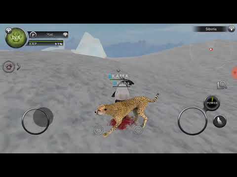 Wild animals online tapir simulator