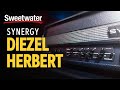 Synergy Diezel Herbert 2 Channel Preamp Module Demo