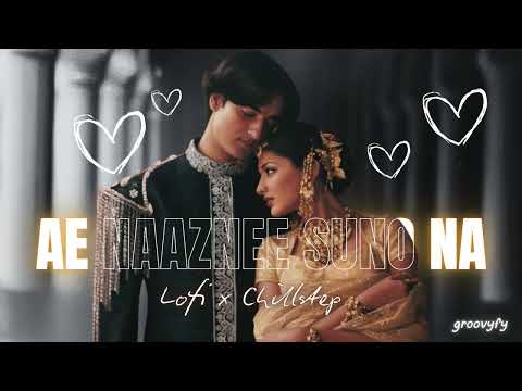 Ae Nazneen Suno Na (Dil Hi Dil Mein) | A.R. Rahman | Chillstep Mix | Abhijeet | Bollywood Lofi Remix