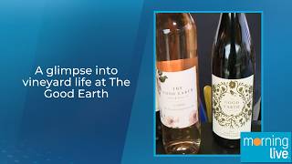 A glimpse into vineyard life at The Good Earth