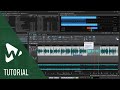 Video 2: Tutorial