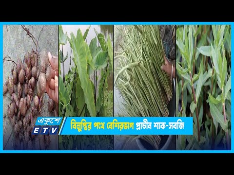 বিলুপ্তির পথে বেশিরভাগ প্রাচীন শাক-সবজি | ETV News