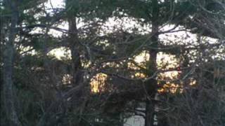 Marc Cohn - One safe place