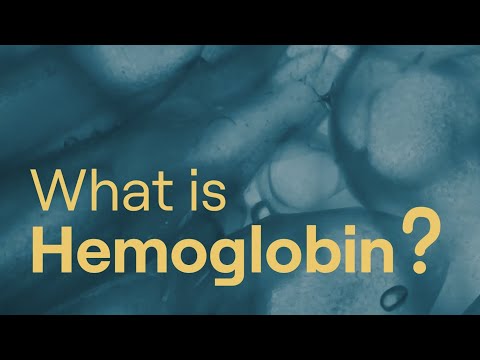 What is Hemoglobin?