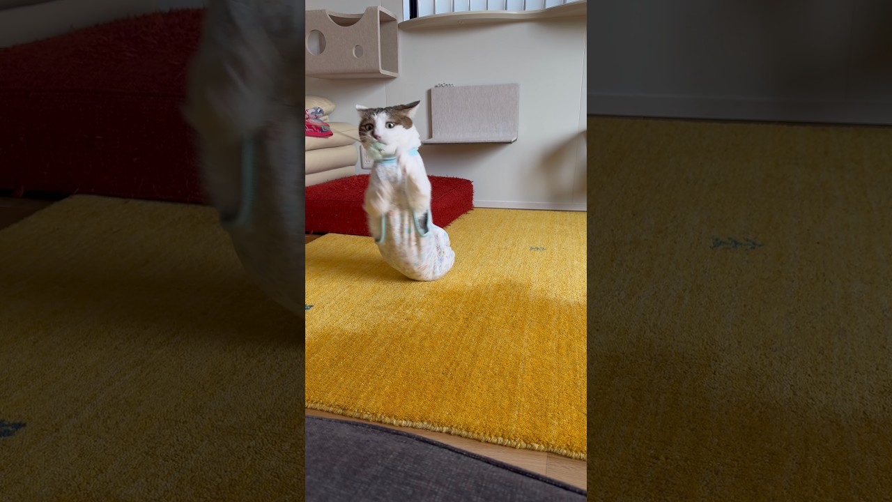 エースの特訓を見守ってください