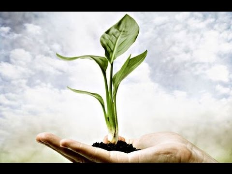 Full Moon in Taurus - October 27th, 2015 @ 10:06pm AEST