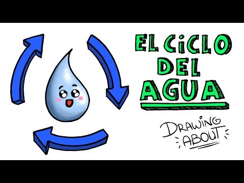 EL CICLO DEL AGUA 💧 | Draw My Life