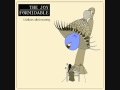 the joy formidable ostrich 