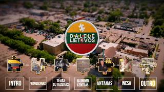 🌎🇺🇸🇱🇹🧩 „Dalelė Lietuvos“. Čikagos lietuvių Jaunimo centro vizija ir Antano Rašymo istorija