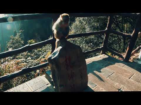 Parque Florestal Zhangjiajie Wulingyuan - Yuanjiajie, Huangshizhai, Galeria Shili, Rio Golden Whip, Bailong Tianhai...