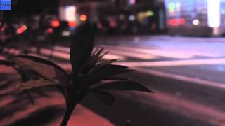 New House Club Music Mix São Paulo Lounge Best Inspired Dance Edition [HD]