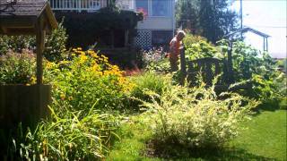 C&#39;Est Beau La Vie -Jean Ferrat.wmv