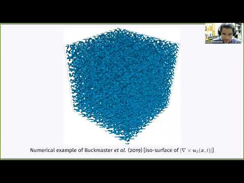TUR | Dr. Takeshi Matsumoto | Insights from numerical simulations of the dissipative Euler flow