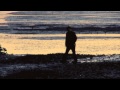 Cruel World (Music Video) - Mick Simpson Feat ...