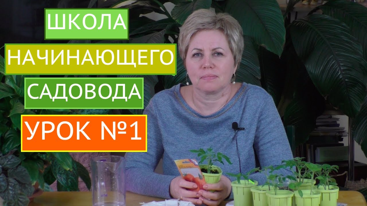 Школа начинающего садовода! Как обработать семена, что за чем идет!