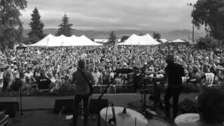 The Black Seeds – NZ Summer Tour, Marlborough - Set to "Way The World"