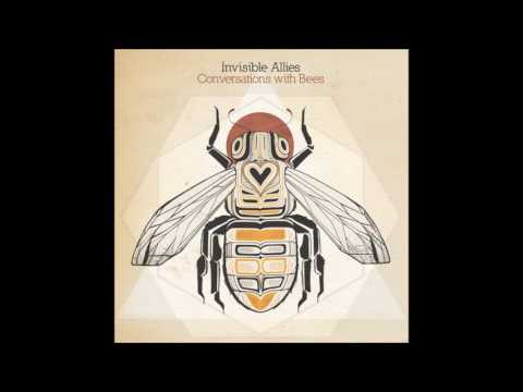 Invisible Allies - Conversations With Bees [Full Album]