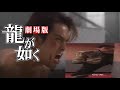 Yakuza Has The Perfect Adaptation