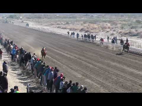 TAQUILLERO  Club Hipico Añelo - Añelo -  03/09/2023