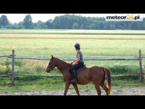 Agroturystyka Chata Miłkowska - Miłkowo meteor24.pl