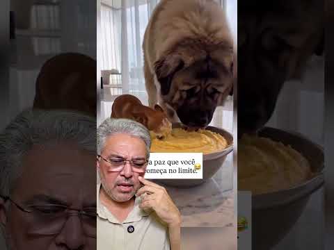 ÀS VEZES É MELHOR FICAR CALADO