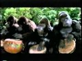 Opening To The Lion King Special Edition 2003 VHS