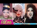 The Queens of Season 14 