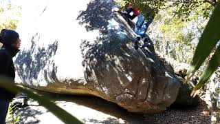 豊田 ハイズリ f(2D)