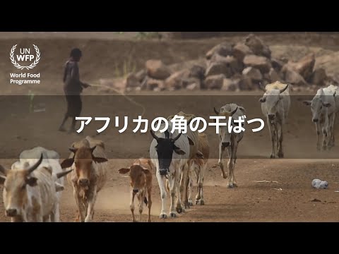 海からの干ばつ