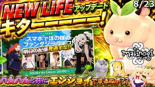 【マビノギ】マビノギニュース8月23日マビノギモバイル明日放送⁉NEW LIFEアップデート!?とっとこ〇太郎❓❓情報量が多すぎ過多!!まだまだ夏は暑そうです!!