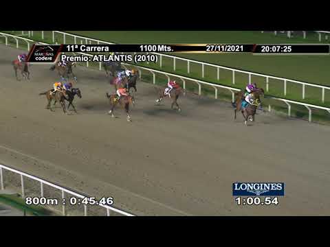 211127 c11 PAPILLOTAGE