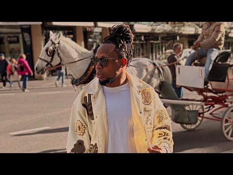 Bright-D - Party Animal (Lyric Video)